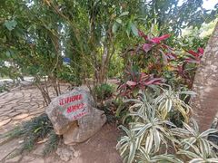 -中国科学院西双版纳热带植物园