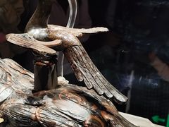 -荆州博物馆