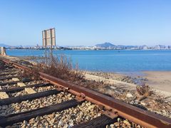 -海堤纪念公园