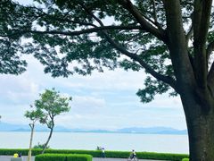 -深圳湾公园(南山区)