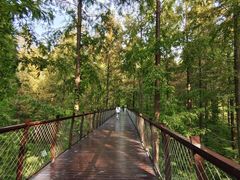 -黄海国家森林公园