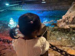 -威海华夏城景区