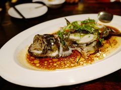 清蒸龙胆石斑鱼-临家闽南菜(环岛路店)