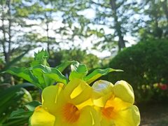-白沙门生态公园