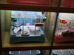 -宠物兔专门店(天丰利市场店)