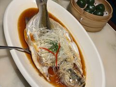 太湖野生大白鱼-淮扬府(安定门店)