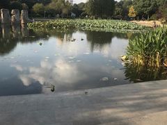 -昆山城市公园