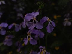 -北京理工大学(中关村校区)