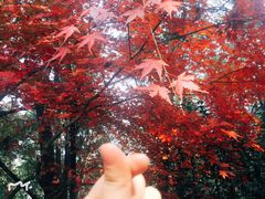 -云龙山