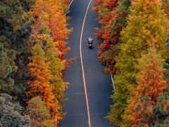 -南京市无想山景区