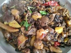 -庆岭迎宾园正宗活鱼馆