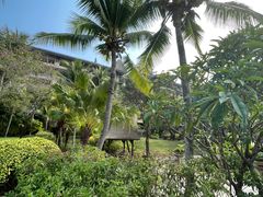 -海南清水湾莱佛士酒店