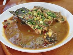 -全乐鱼馆·淳牌有机鱼直营店