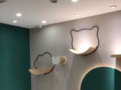 -飞行喵MR PILOT|猫舍·猫咖(静安大融城店)