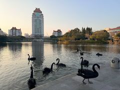 -厦门大学(思明校区)