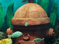 -合肥海洋世界
