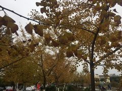 -江南大学(蠡湖校区)
