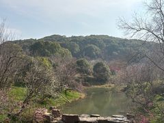 -无锡梅园公园