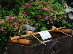 -鹤冈八幡宫