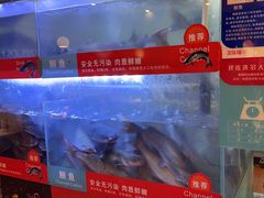 -三江源活鱼现烤(维多利摩尔城店)