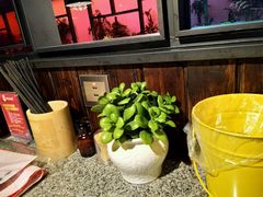 -蛙来哒主题餐厅(友好美美店)