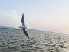 -深圳湾公园(南山区)