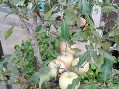 -恒达综合农贸市场(黄山路店)