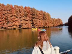 -上海海湾国家森林公园