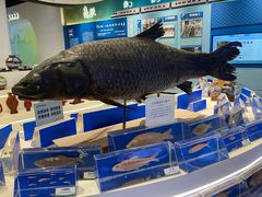 -千岛湖鱼味馆(十字街总店)