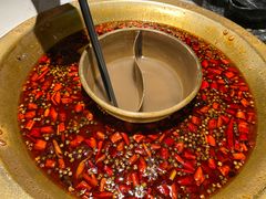 -哥老官重庆美蛙鱼头(五角场合生汇店)