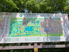 -上海海湾国家森林公园