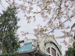 -武汉大学-樱园
