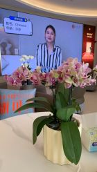 -深圳芙必优医疗美容·抗衰中心