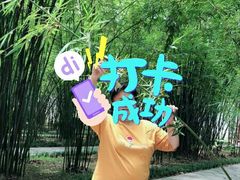 -云溪植物园