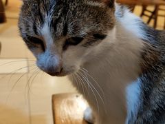 -2048香辣虾(七星岗店)