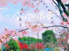 -顾村公园