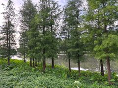 -怡海公园(桂城街道)