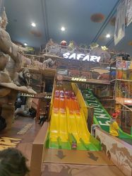 -卡通尼·Safari非洲探索乐园·生日会(金桥国际商业广场店)