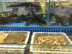 水产区-登瀛楼饭庄(领世郡店)
