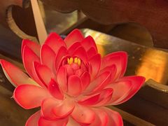 -蜀九鼎·四川火锅·毛肚是招牌(惠安店)