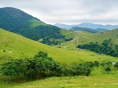 -大姆山草场