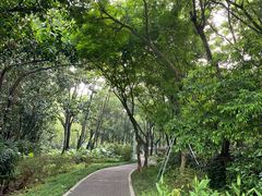-深圳湾公园(南山区)