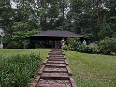 -武吉知马自然保护区