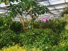 -南宫五洲植物乐园