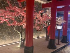 -蓝鲸湾汤泉(包河店)