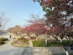 -范蠡湖公园