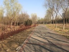 -东郊湿地公园
