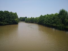 -上海海湾国家森林公园