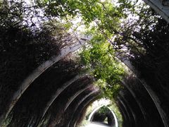 -天津东丽湖风景区