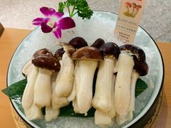 松茸菌-滇色蒸汽石锅鱼(京华城店)